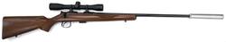 Buy 22 CZ 452-2E Blued Wood 24" with Scope & Silencer in NZ New Zealand.